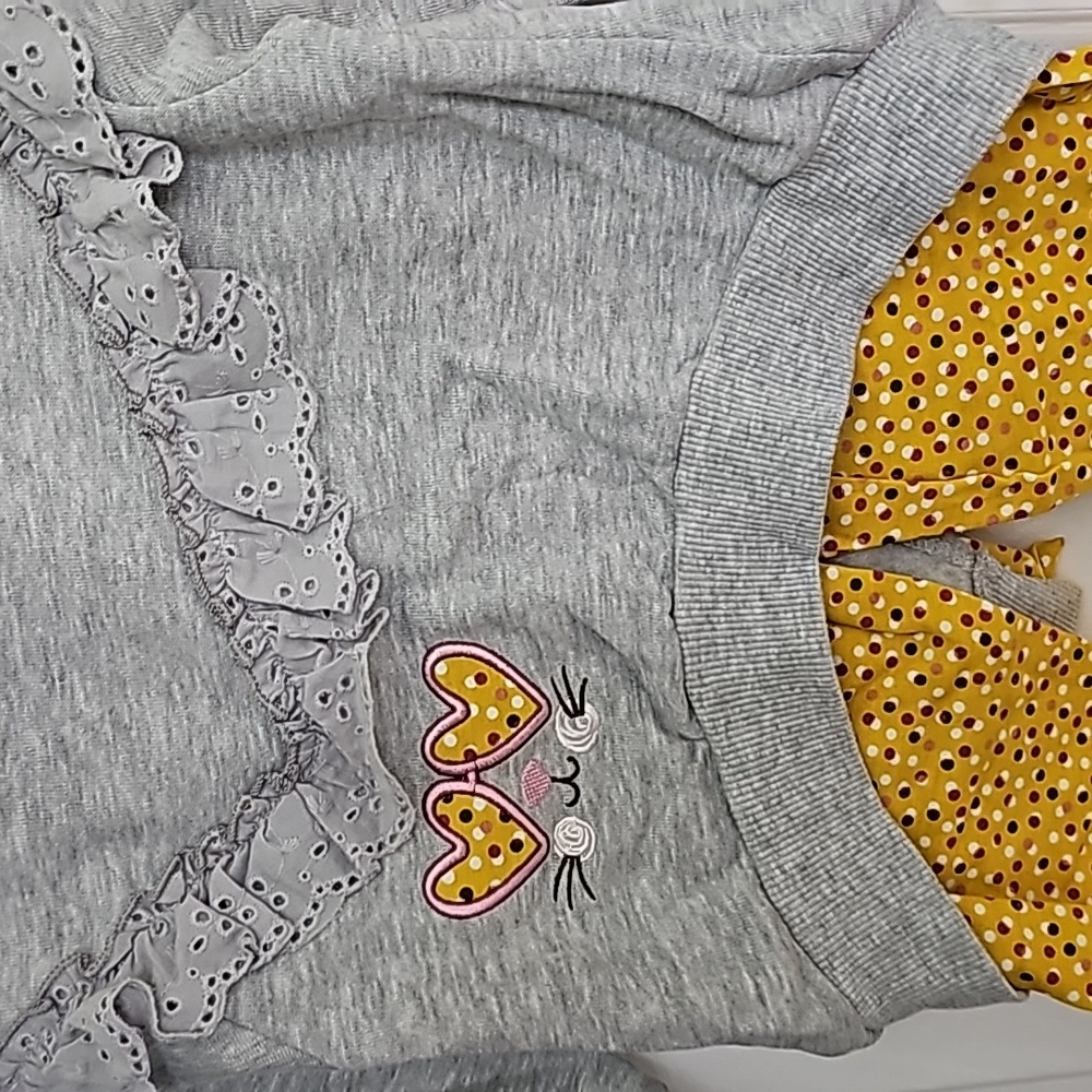Blueberi Blvd Gray and Yellow Outfit Kid's Top Size 4T Pants Size 5 - Picture 4 of 13